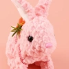 The 2025 new cute plush lamb rabbit with backpack children's simulation toy can walk, move and make sounds Application Scenario